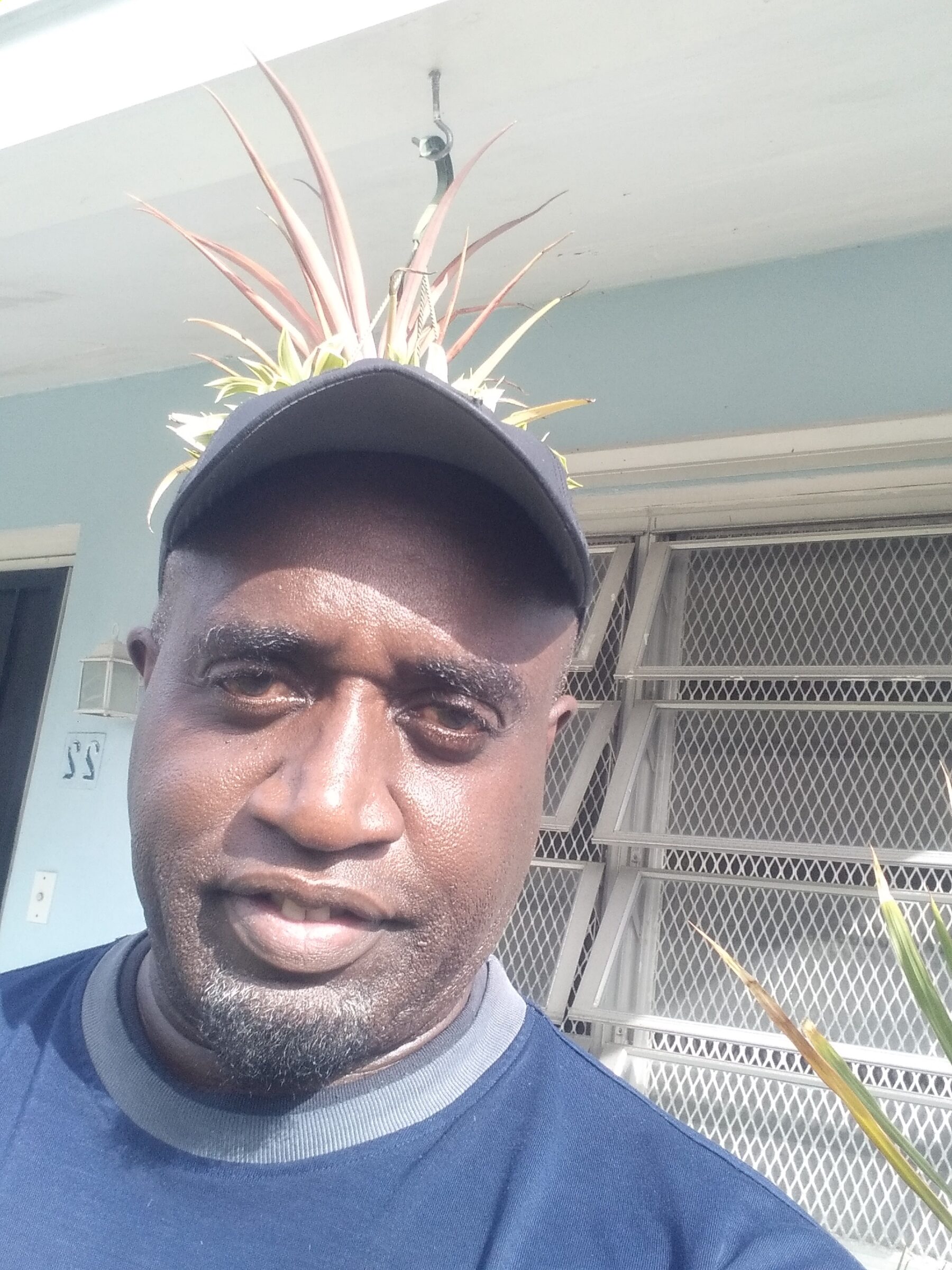 How to Get Rid of Bugs Indoors Bugoff Control