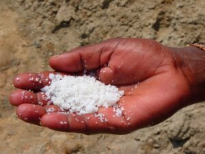 Epsom Salt In The Garden-epsom-salt