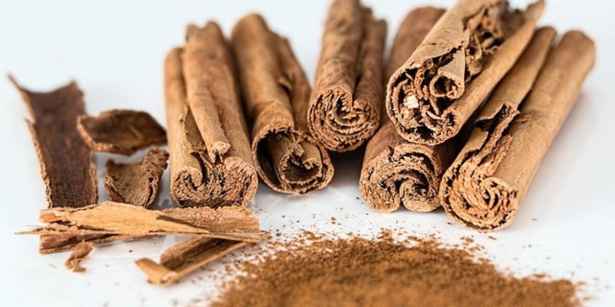 Cinnamon Pest Control-cinnamon-sticks