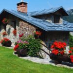 Will Bed Bugs Infest A clean House-a-home-with-a-beautiful-garden