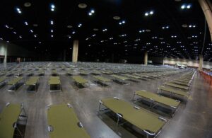 How To Check For Bed Bugs In Shelters How To Check For Bed Bugs In Shelters