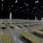 How To Check For Bed Bugs In Shelters
