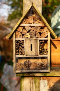 Best Insect Hotel For Garden-an-insect-hotel Best Insect Hotel For Garden-an-insect-hotel