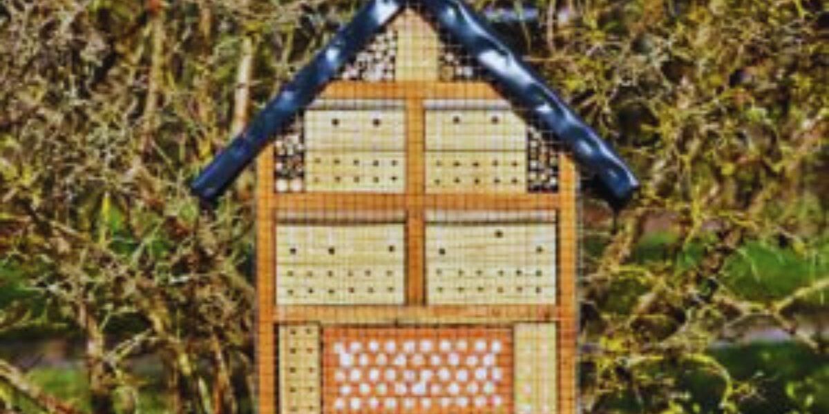 What Insects Live In A Bug Hotel-a-bug-hotel