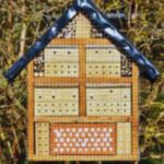 What Insects Live In A Bug Hotel-a-bug-hotel