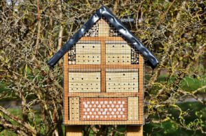 What Insects Live In A Bug Hotel-a-bug-hotel What Insects Live In A Bug Hotel-a-bug-hotel