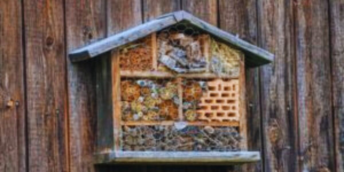 DIY Bug Hotel For Pollinators-a-bee-hotel
