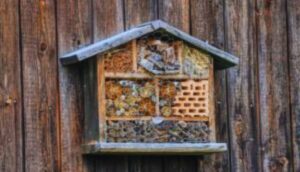 Can And Insect Hotel Attract Pests-an-insect-hotel Can And Insect Hotel Attract Pests-an-insect-hotel