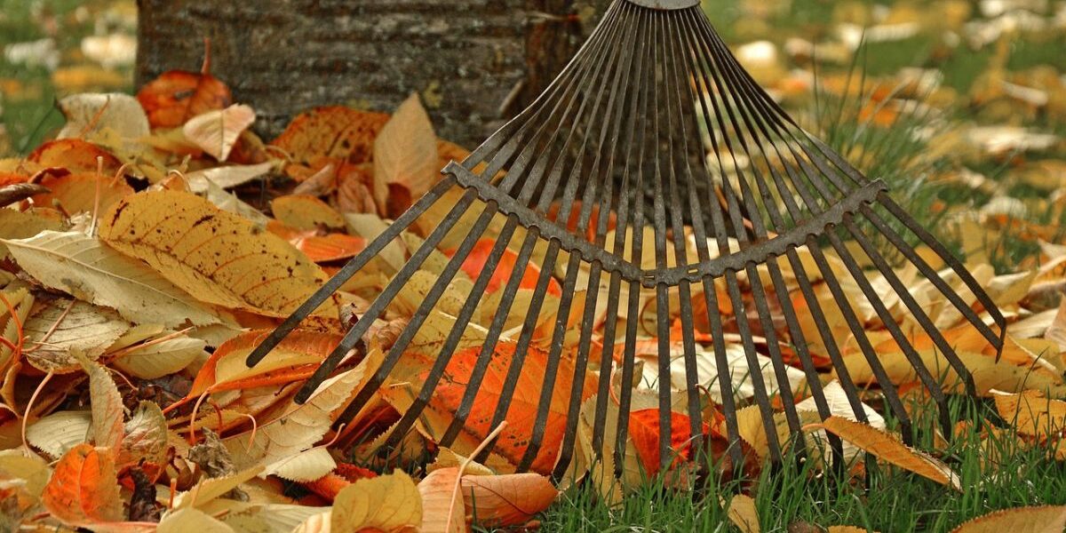 Fall Pest Prevention For Homes And Gardens-fallen-leaves