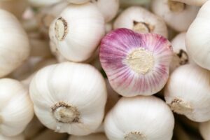 Best Fall Pest Control Methods For vegetable Gardens-garlic-herb Best Fall Pest Control Methods For vegetable Gardens-garlic-herb