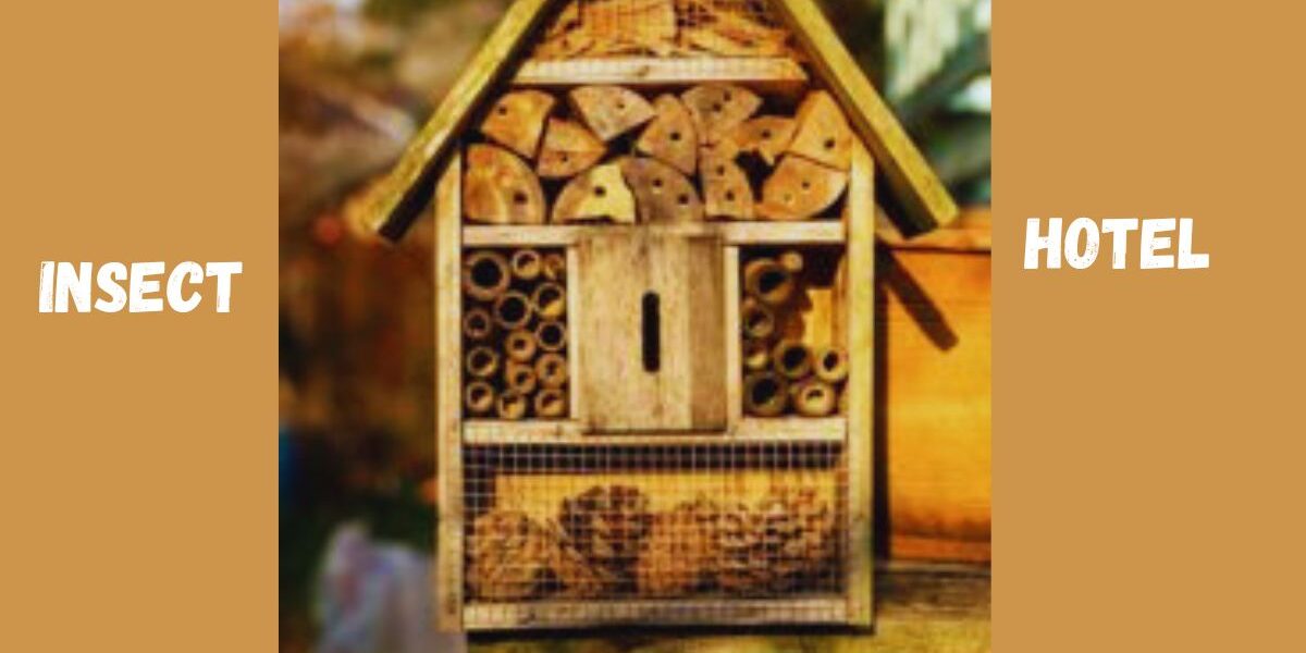 Best Insect Hotel For Garden-an-insect-hotel