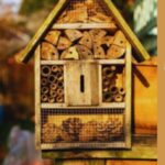 Best Insect Hotel For Garden-an-insect-hotel