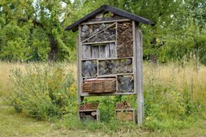 Where To Place A Bug Hotel-and-insect-hotel Where To Place A Bug Hotel-and-insect-hotel