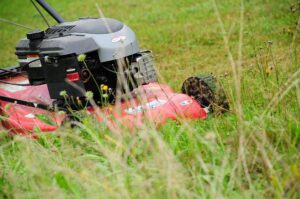 How To Prevent Rodents In Garden Sheds-a-lawn-mower How To Prevent Rodents In Garden Sheds-a-lawn-mower