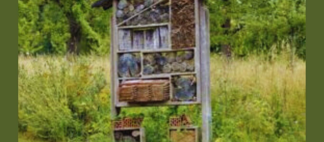 Where To Place A Bug Hotel-a-bug-hotel