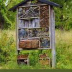 Where To Place A Bug Hotel-a-bug-hotel