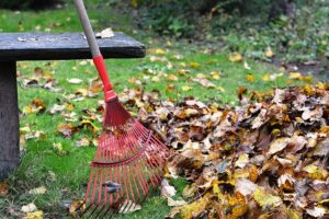 Natural Ways To Repel Garden Pests-a-garden-rake Natural Ways To Repel Garden Pests-a-garden-rake