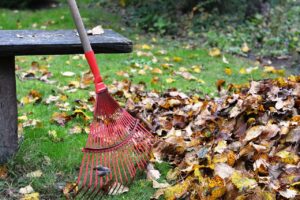 Best Fall Pest Control Methods For vegetable Gardens-rake-up-leaves Best Fall Pest Control Methods For vegetable Gardens-rake-up-leaves