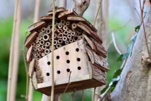 Can And Insect Hotel Attract Pests-and-insect-hotel Can And Insect Hotel Attract Pests-and-insect-hotel