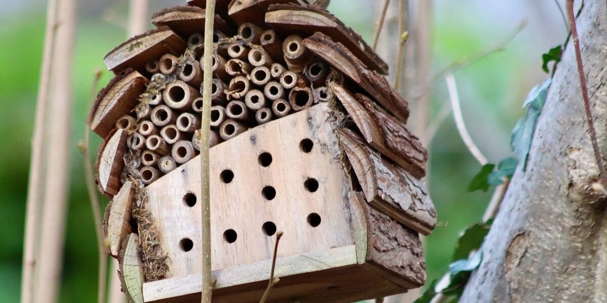 Can And Insect Hotel Attract Pests-an-insect-hotel