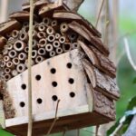 Can And Insect Hotel Attract Pests-an-insect-hotel