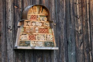 Can And Insect Hotel Attract Pests-an-insect-hotel Can And Insect Hotel Attract Pests-an-insect-hotel