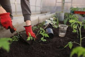 Best Fall Pest Control Methods For vegetable Gardens-a-vegetable-garden Best Fall Pest Control Methods For vegetable Gardens-a-vegetable-garden