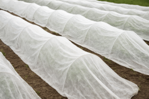 How To Pest Proof Raised Beds For Fall-floating-row-covers How To Pest Proof Raised Beds For Fall-floating-row-covers
