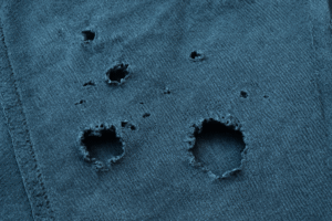 How To Get Rid Of Silverfish In Clothes-silverfish-damage How To Get Rid Of Silverfish In Clothes-silverfish-damage