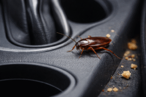 How to Get Rid of Roaches In Your Car-roach-in-a-car-around-food-crumbs