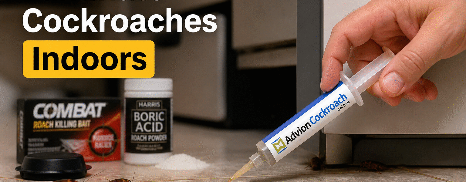Best Way To Eliminate Cockroaches Indoors-cockroach-control-indoors-kitchen-scene