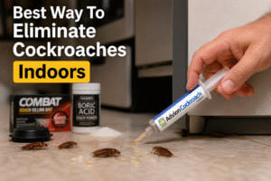 Best Way To Eliminate Cockroaches Indoors-cockroach-control-indoors-kitchen-scene Best Way To Eliminate Cockroaches Indoors-cockroach-control-indoors-kitchen-scene