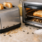 Why Are Ants Attracted To Toasters And Toaster Ovens-ants-crawling-near-toaster-crumbs