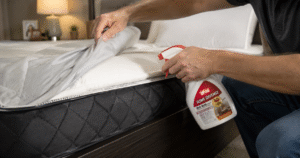 Ortho Bed Bug Spray Review-bed bug control