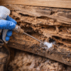 How To Treat Dampwood Termite-applying-insecticide-to-dampwood-termite-wood