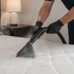 Best Bed Bug Treatment-steam-cleaning-mattress-to-kill-bedbugs