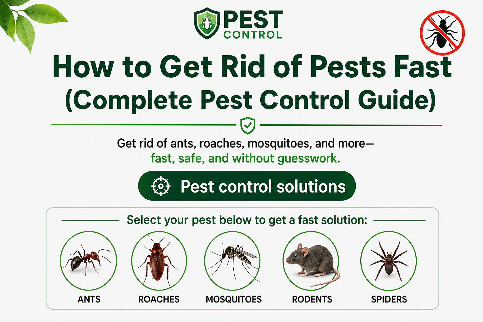 Pest Control Guide-pests-control-guide-solutions