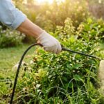 Best Manual Backpack Sprayers For Mosquito Control-best-manual-backpack-sprayer-for-mosquito-control-in-backyard