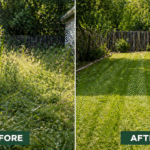 How To Control Tick-how-to-control-ticks-effectively-outdoors