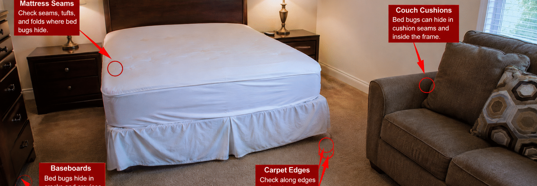 Best DIY Bed Bug Treatment Kit-hot-spots-where-bed-bugs-hides