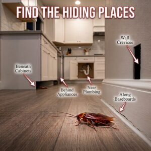 How To Get Rid of Big Water Bugs-kitchen-diagram-showing-cockroach-hiding-places