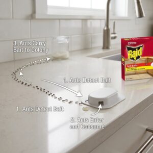 Best Little Black Ant Products For Kitchen-raid-ant-baits-in-kitchen-demonstration Best Little Black Ant Products For Kitchen-raid-ant-baits-in-kitchen-demonstration